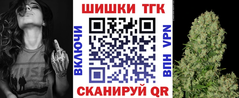Купить закладки  Карабаш  Марихуана сатива 